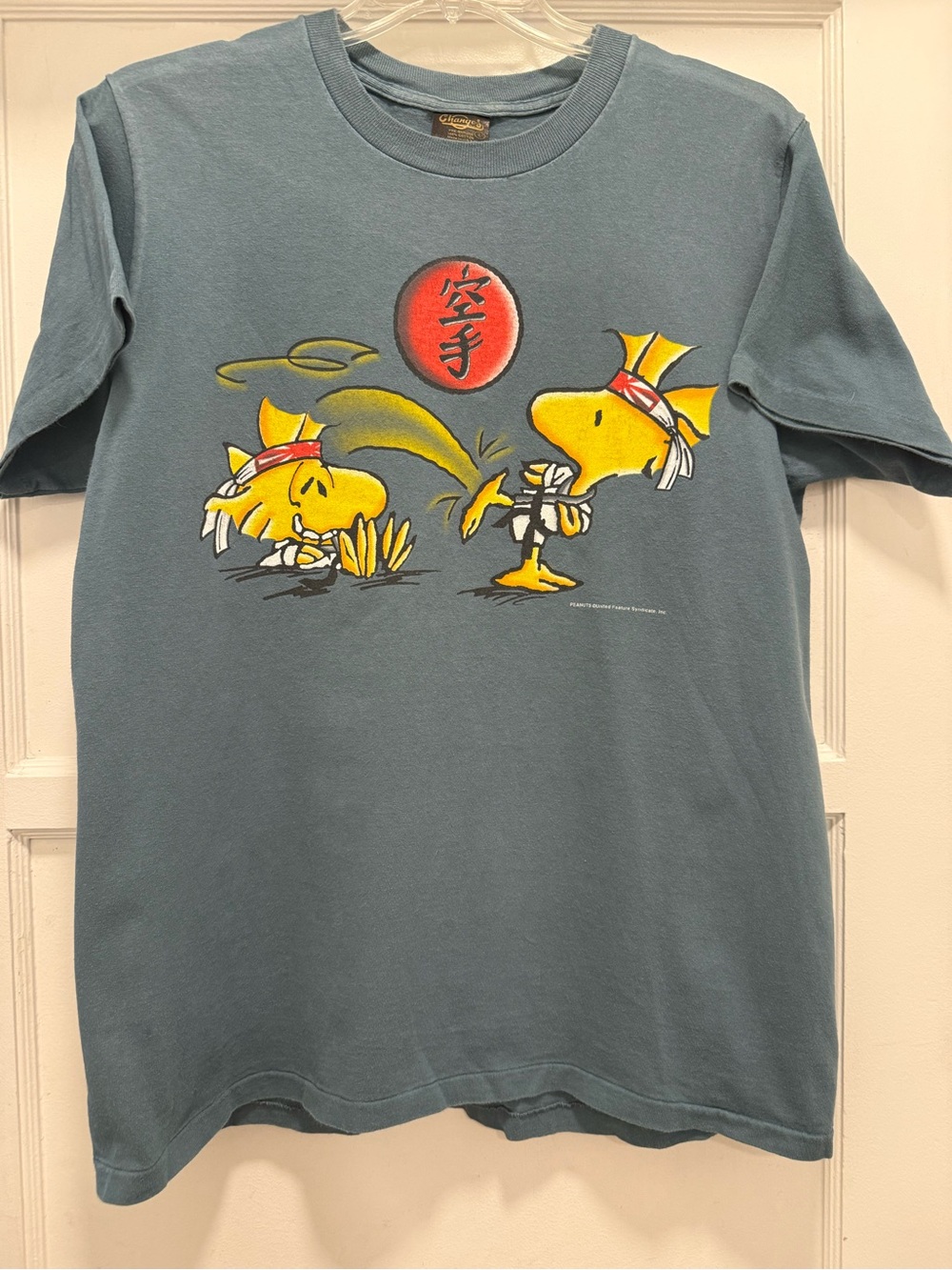 RARE Vtg 90’s Peanuts Woodstock Karate CHANGES Tag Single Stitch Kangi Blue L